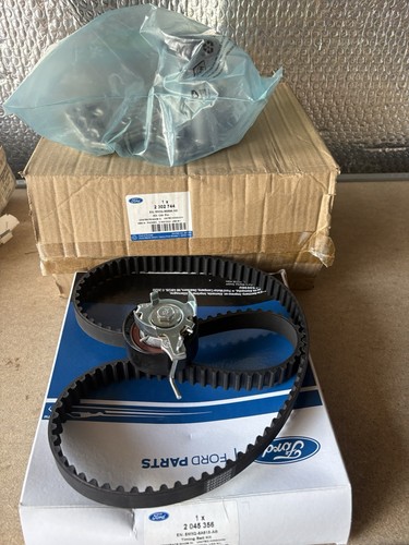 Timing belt kit - belt,
